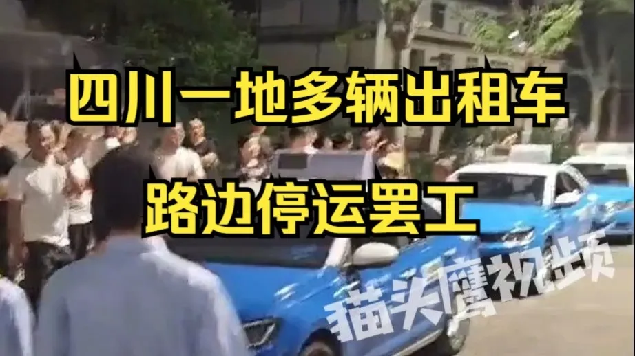 四川一地多辆出租车路边停运罢工,居民:网约车和电三轮太多了,没生意