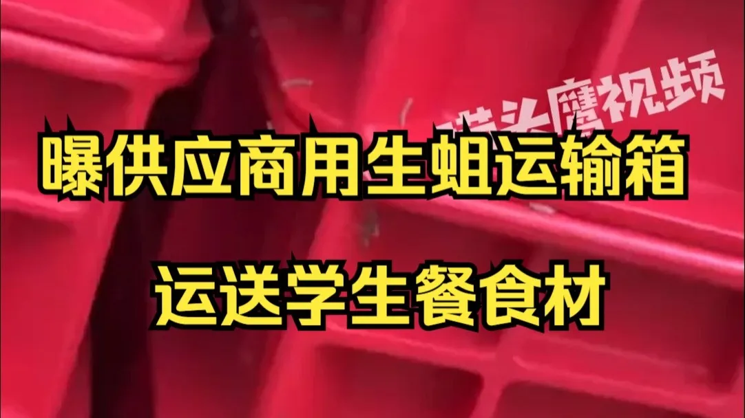 曝供应商用生蛆运输箱运送学生餐食材,当地:可能天气热没清理,已介入调查