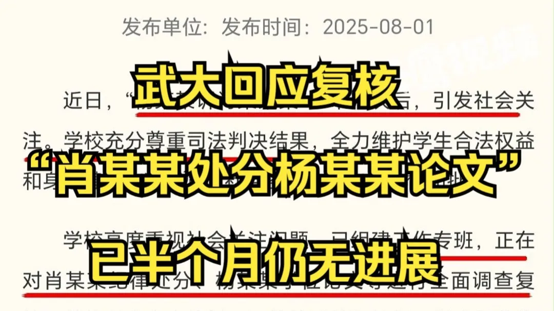 武大复核“肖某某处分杨某某论文”已半个月仍未公布进展,学校:等学校通知,有结果会公布