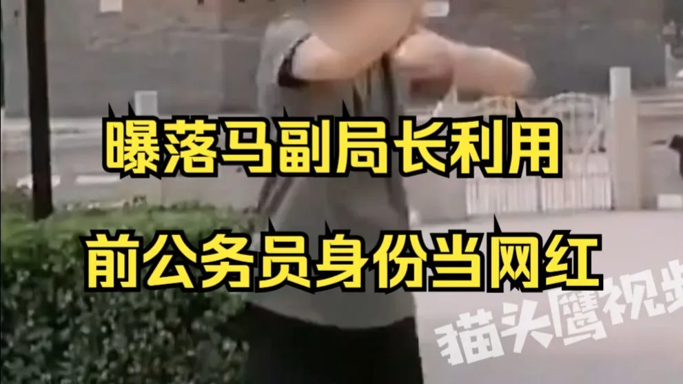 曝落马副局长利用前公务员身份当网红,曾因伪造国家证件罪被判7个月