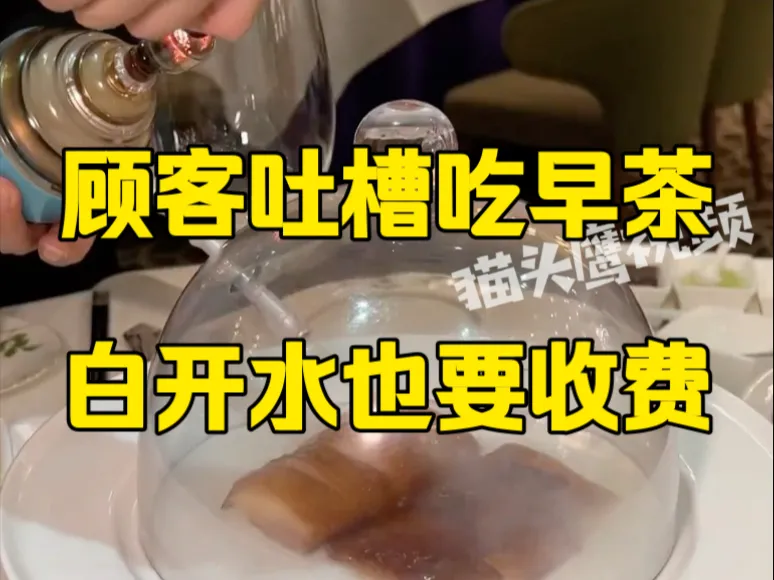 顾客吐槽吃早茶白开水也要收费:已经点了58元的茶,还被收11块开水费